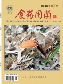 食药用菌杂志